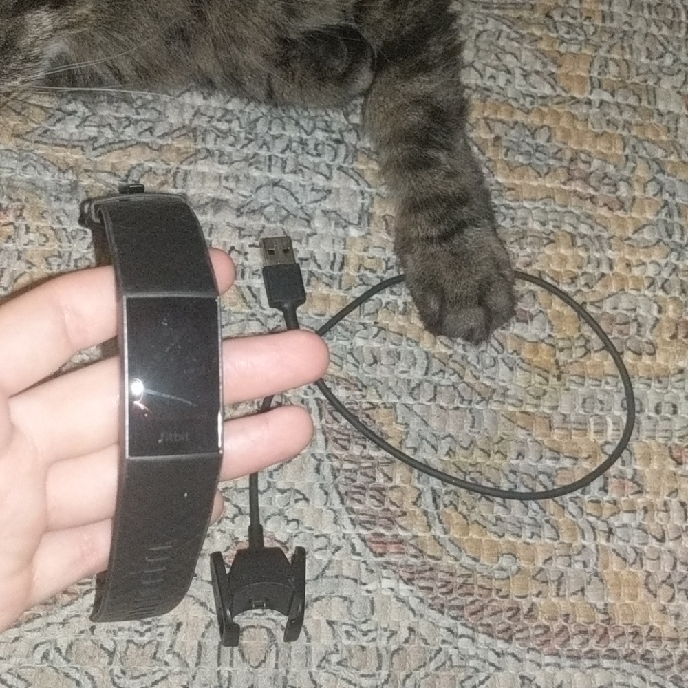 black fitbit charge 3